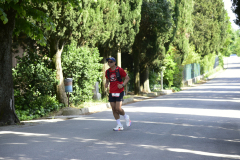 DSC4914e6dccb24